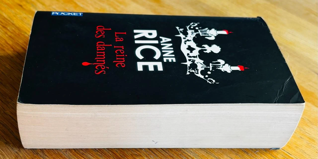 🧛 The Queen of the Damned: The Vampire Chronicles by Anne Rice – photo 6